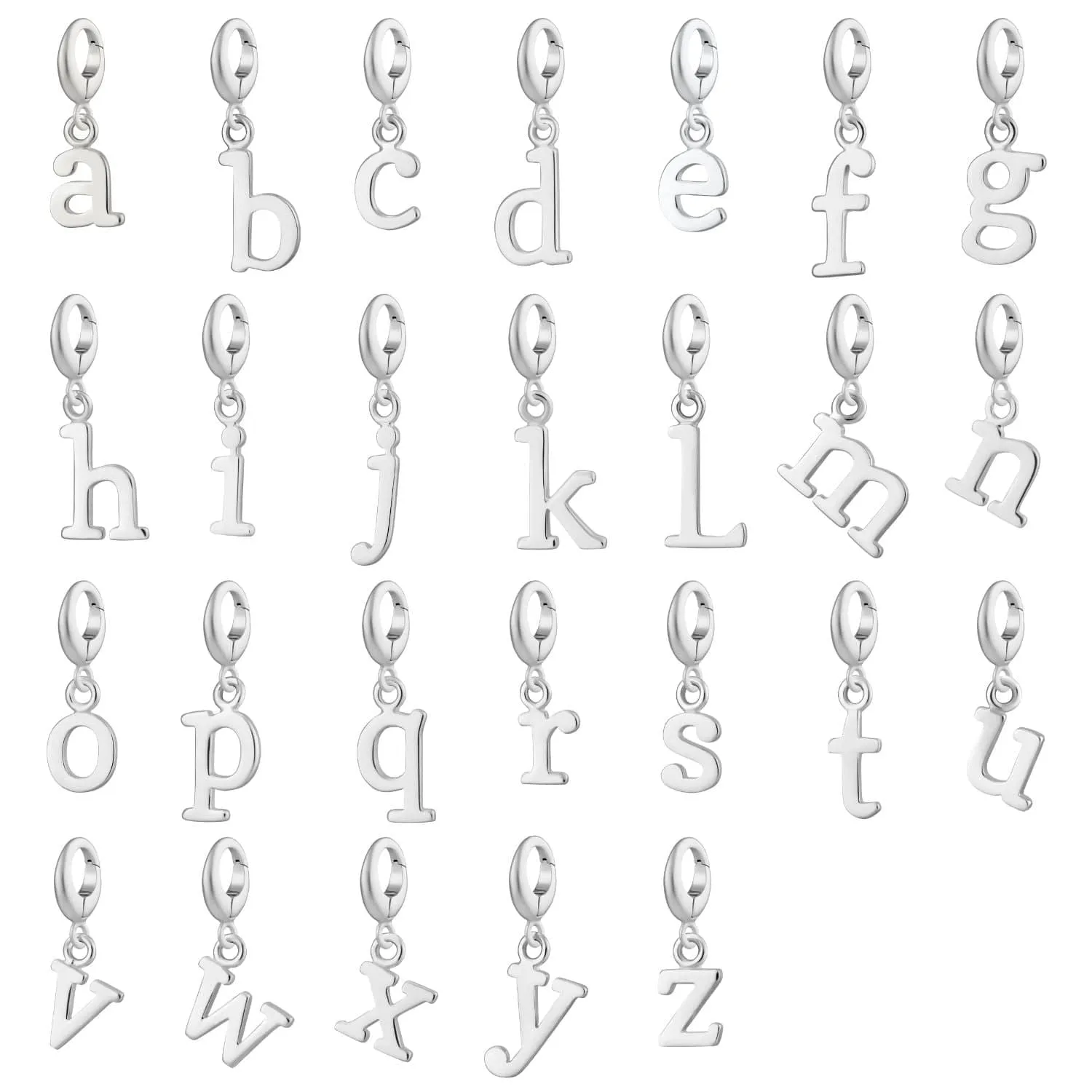 Silver Charm Capture Necklace